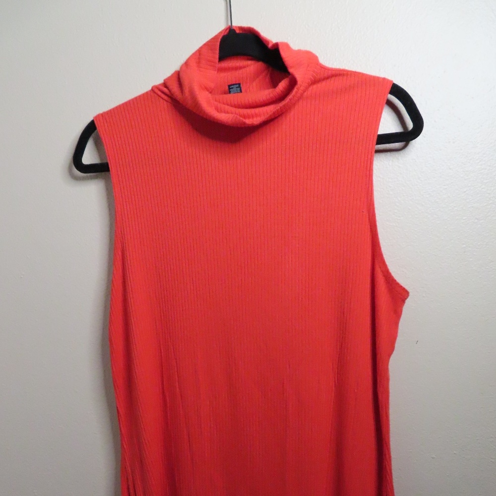 Cute Turtle Neck Top